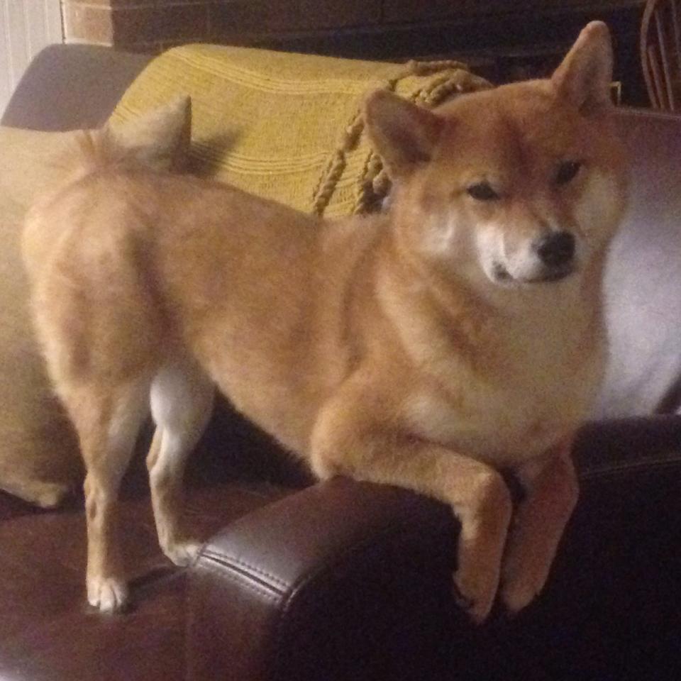 夜战，在世界的棋盘上，他用一记孤光铭刻排名